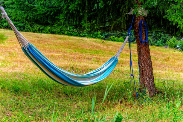 istock Hammock between two trees invites you to relax 1167741922