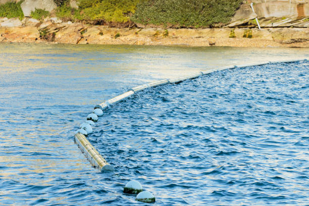istock Bending in the wind but still protecting the bay 1167742413