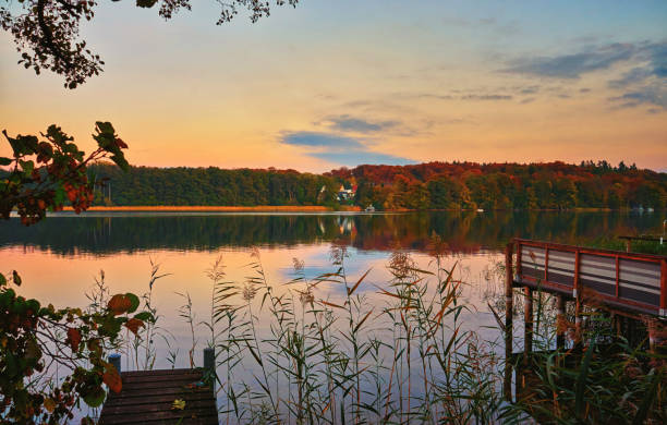 old houses in the woods at dusk at the lake. - indiana autumn woods forest imagens e fotografias de stock