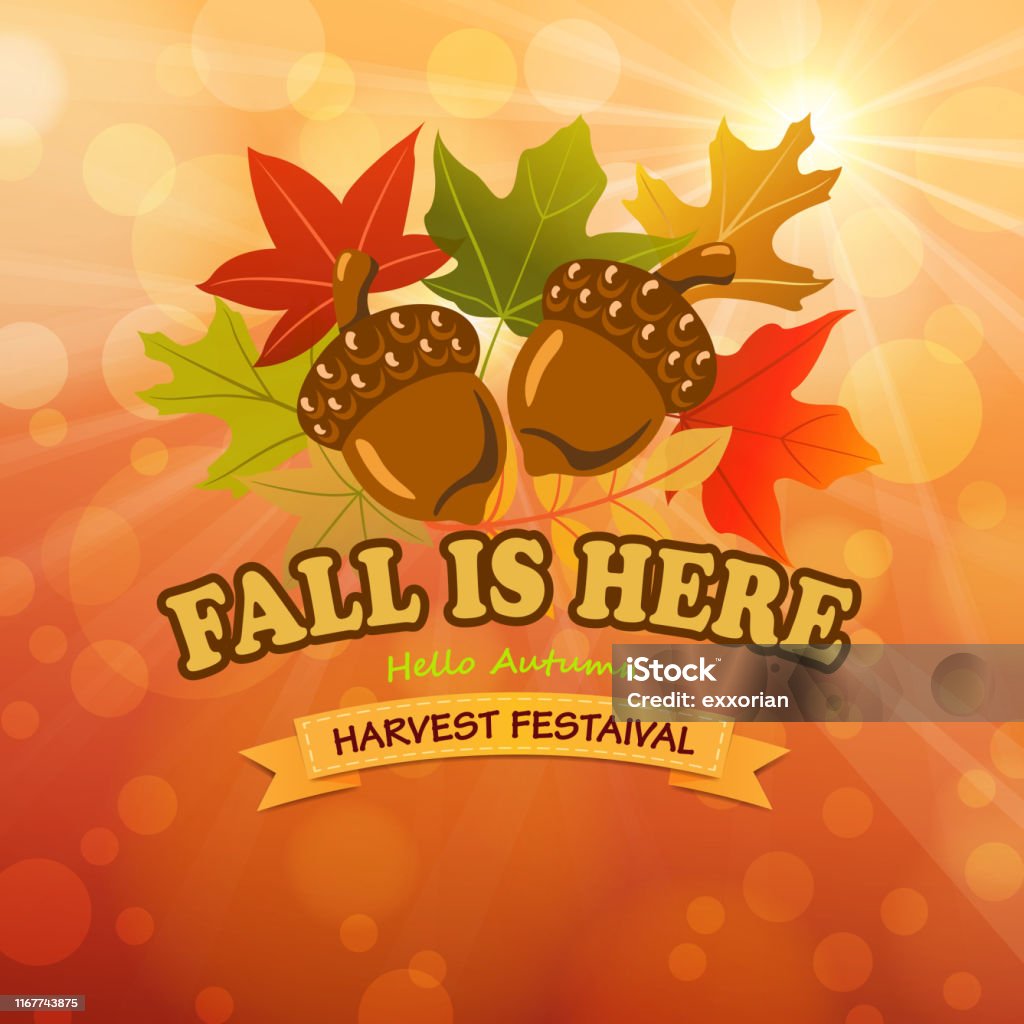Fall In Here Fall Is Here Stock Illustration - Download Image Now - Acorn, Autumn ...