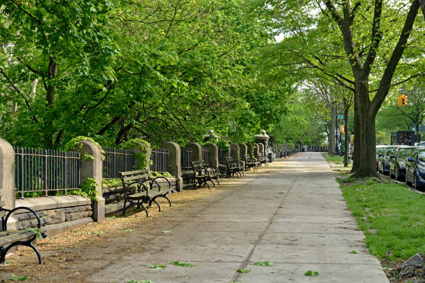 movimentação de morningside e parque de morningside no bairro de morningside heights de new york city - overcast day new york city manhattan - fotografias e filmes do acervo