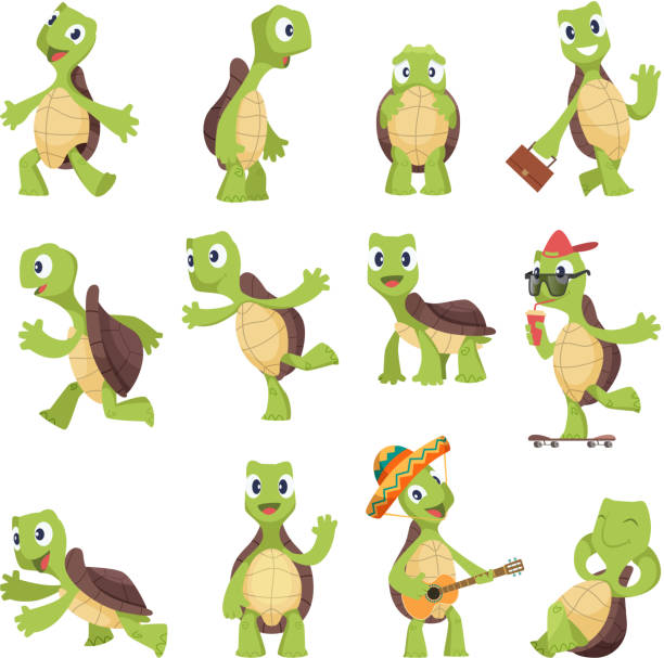cartoon-schildkröten. glückliche lustige tiere laufen schildkröte vektor sammlung - landschildkröte stock-grafiken, -clipart, -cartoons und -symbole