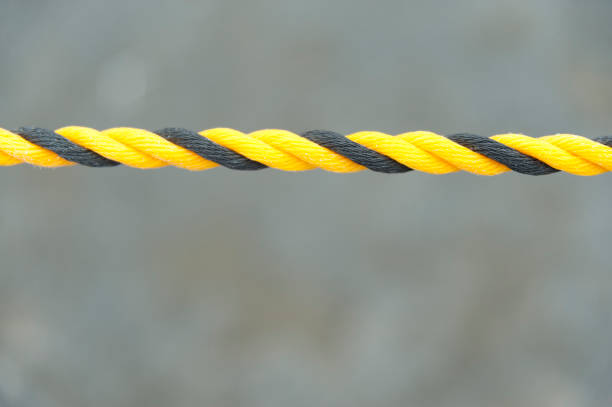 Yellow and black nylon rope. Nylon rope in horizontal direction. Isolated on blurred background. Close-up. Copy space.