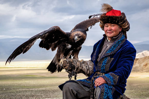 Eagle Hunter with His Eagle in Bayan Olgiy, West Mongolia Eagle Hunter with his golden eagle in Bayan-Olgiy, West Mongolia. steppe eagle aquila nipalensis stock pictures, royalty-free photos & images