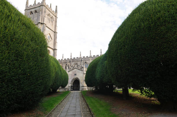 Yew tree lined path to St Mary's Church, Calne, Wiltshire.