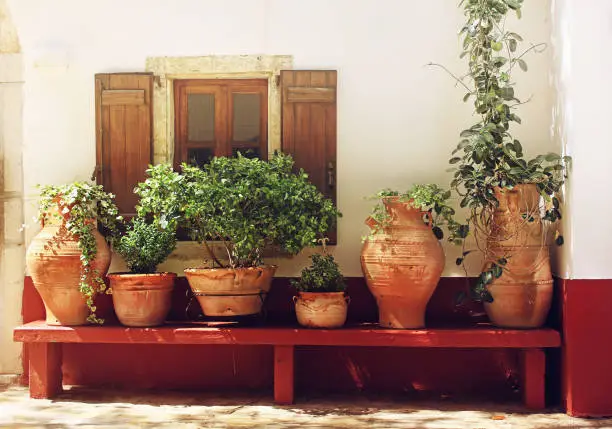 Photo of Plants in pots on a bench near a textured wall, Greece, Crete
