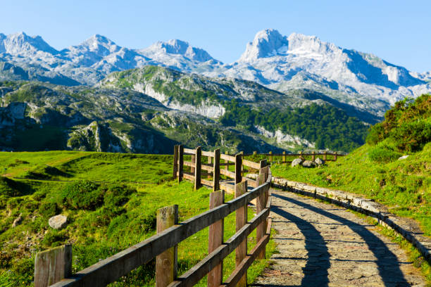Mountain landscape of Picos de Europa, Spain Scenic summer mountain landscape of Picos de Europa with green hillsides, valleys and highland pastures, Spain foothills photos stock pictures, royalty-free photos & images