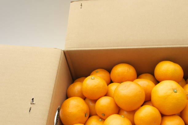 istock Fresh mandarin oranges from farm in the box 1167756999
