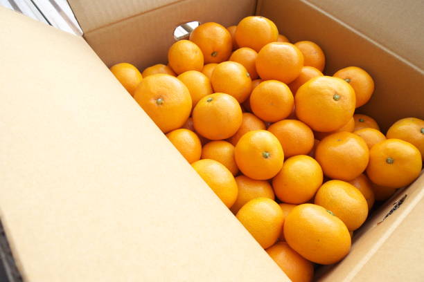 istock Fresh mandarin oranges from farm in the box 1167757241
