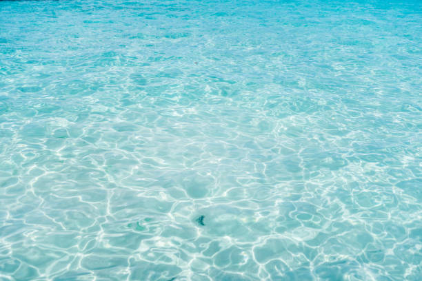 Clear turquoise sea water. Concepts. Background.