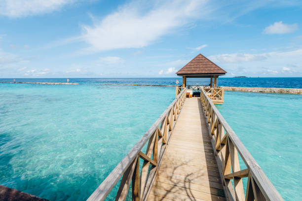 istock Tropical beach hut at Maldives island 1167759170