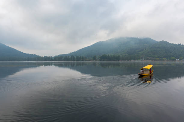 shikhara or Shikara boat floating on dal lake early morning unidentified boatman is sailing with his boat and looking for tourists in  Dal Lake, Sri Nagar, Jammu & Kashmir, India on june 23, 2018 lake nagin stock pictures, royalty-free photos & images