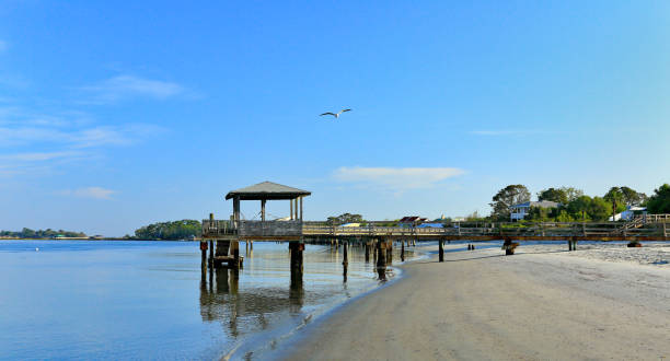 istock Raised, wood boat dock along a beach 1167759525