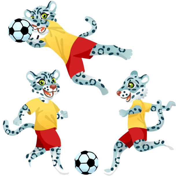 三隻雪豹作為身著制服的足球運動員,與足球一起擺出動感的姿勢 - leopard 2 幅插畫檔、美工圖案、卡通及圖標