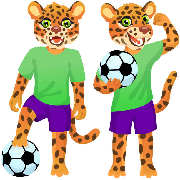 兩只站立的美洲虎,作為穿著制服的足球運動員,帶著足球 - leopard 2 幅插畫檔、美工圖案、卡通及圖標