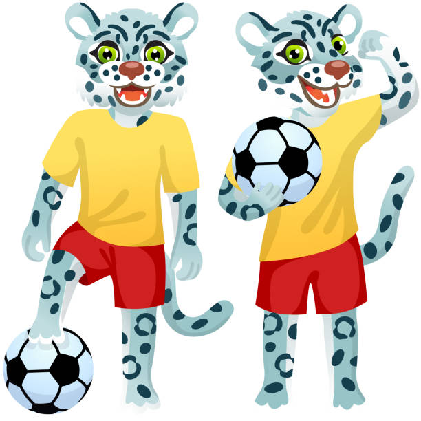 兩只站立的雪豹,作為穿著制服的足球運動員與足球 - leopard 2 幅插畫檔、美工圖案、卡通及圖標