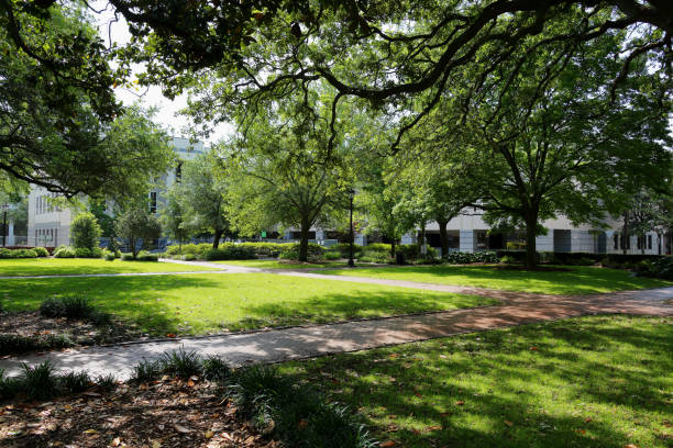 istock View of Wright Square, Savannah Georgia 1167760620