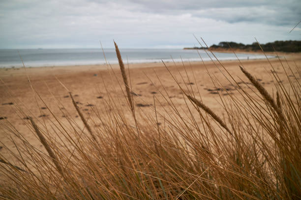 istock Torquay Beach in Victoria. 1167760901
