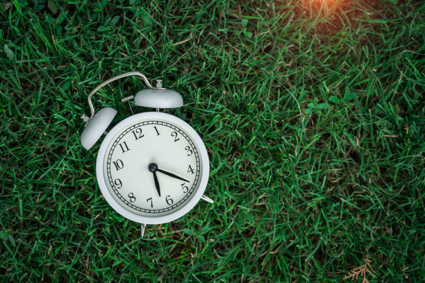 istock Alarm Clock On The Lawn 1167761650