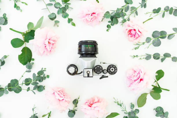 istock Flower composition of roses with eucalyptus branches and old retro camera on white background. Flat lay, top view 1167762536