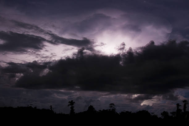 грозовое облако, освещенное молнией - tropical rain forest flash стоковые фото и изображения