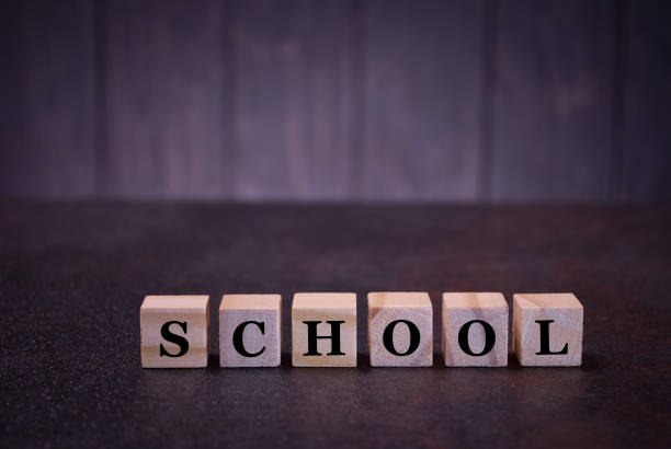 istock The word school on wooden cubes 1167769507
