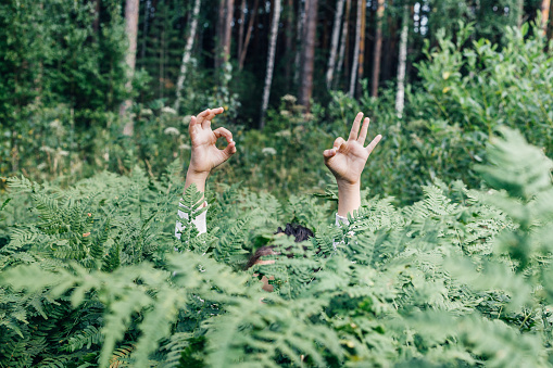 A little girl in the high fern shows OK with her hands. Children behavior, get lost in the forest concept.