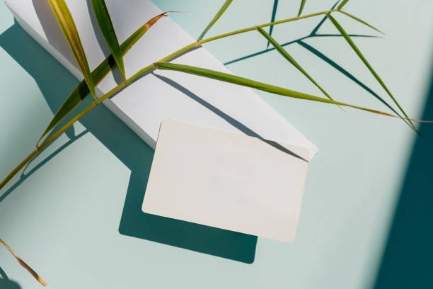 Blank personal card, stationery mockups with natural sunlight and botanical shadows