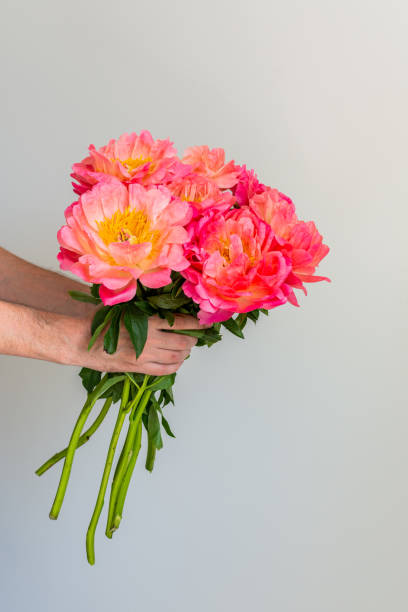 istock Beautiful bouquet of pink peonies 1167775361