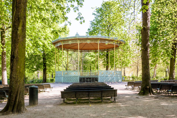 der bandstand im brüsseler park, belgien. - chestnut tree leaf sunlight tree stock-fotos und bilder