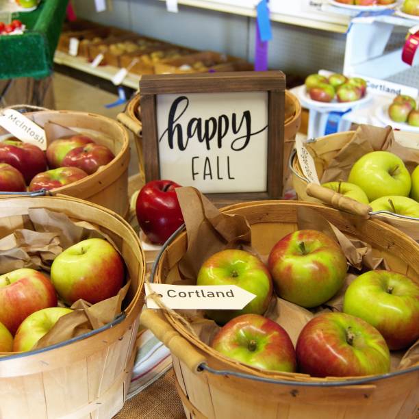 happy fall apples - macintosh apple imagens e fotografias de stock