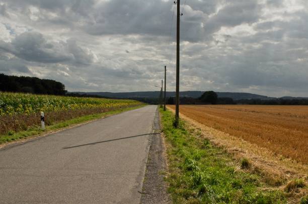 country road along a cornfield