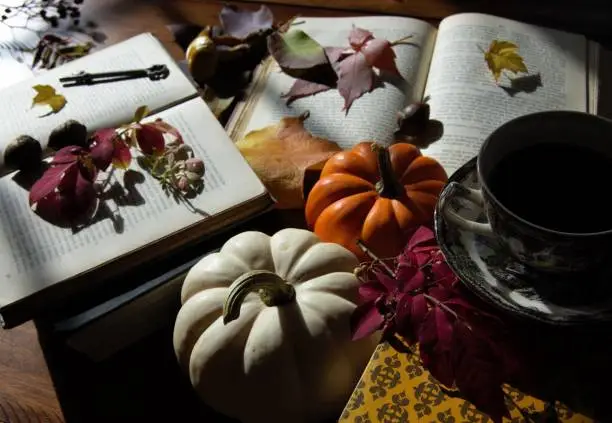 A group of pumpkins, leaves, and books strewn about a wooden table