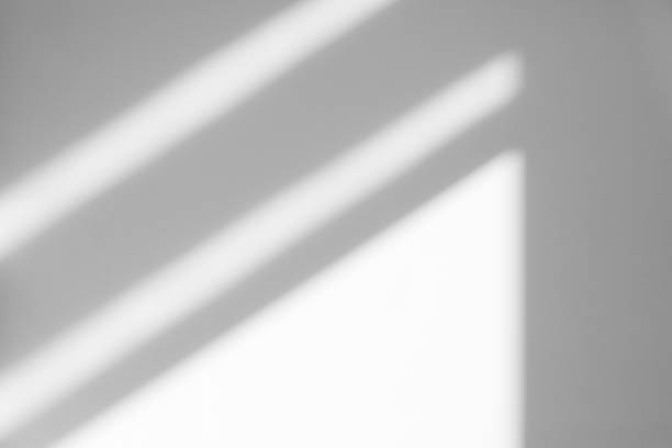 ombra esterna organica su una parete bianca - shadow foto e immagini stock
