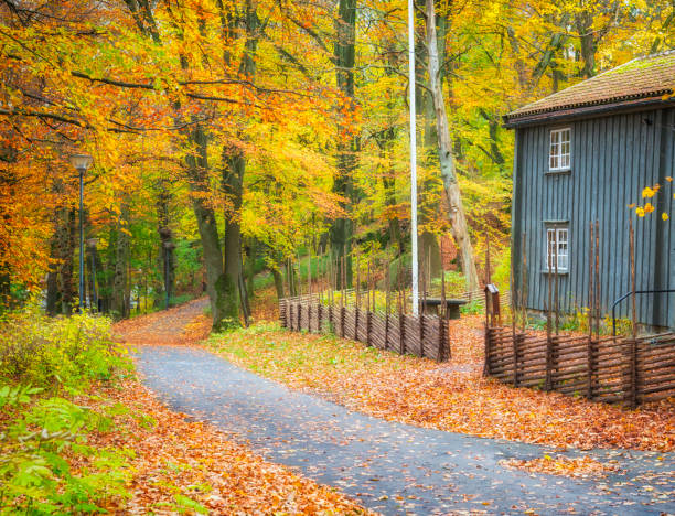 Autumn in Slottsskogen park. Its a beautiful public park with free entrance in central Gothenburg, Sweden. Small part of a wooden house is visible.