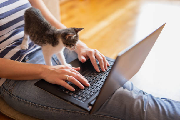 istock Female freelancer working from home 1167784406