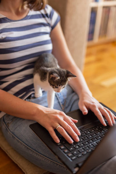 istock Woman working remotely from home 1167784433