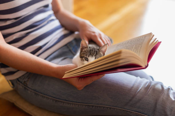 istock Woman and a cat reading a book 1167784497