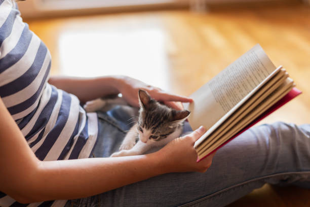 istock Woman reading a book and holding kitten 1167784596