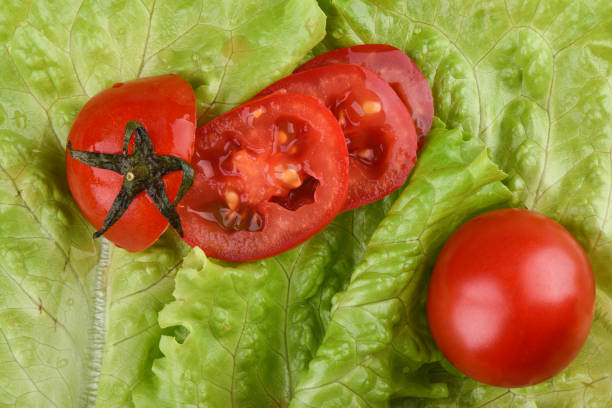 Ripe whole tomatoes and cut into slices on fresh lettuce leaves. Horizontal. Macro shot. Top view.