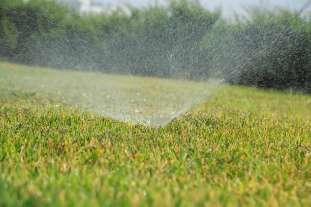 istock sprinkler watering the green grass on a sunny summer day 1167794126