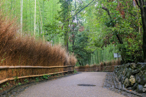 istock Bamboo grove in Arashiyama, Kyoto 1167794144
