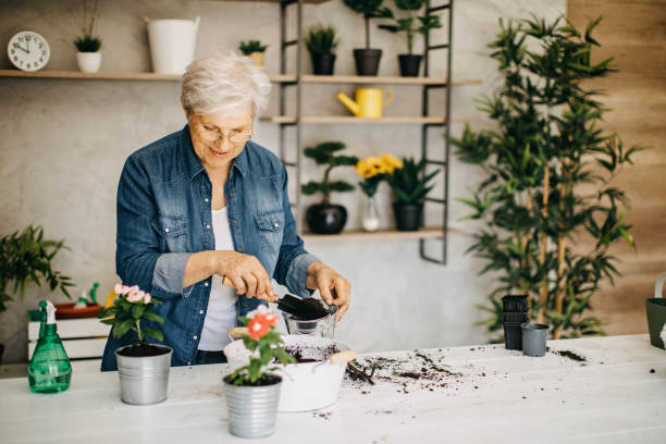 istock Active senior woman enjoying planting 1167795881