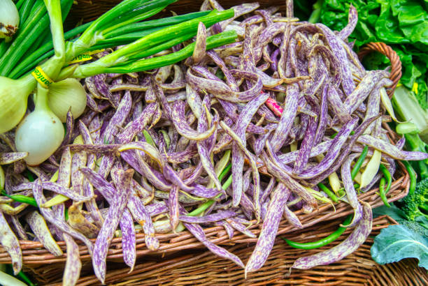 haricots frais de langue de dragon d'héritage au marché de fermier - wax bean photos et images de collection