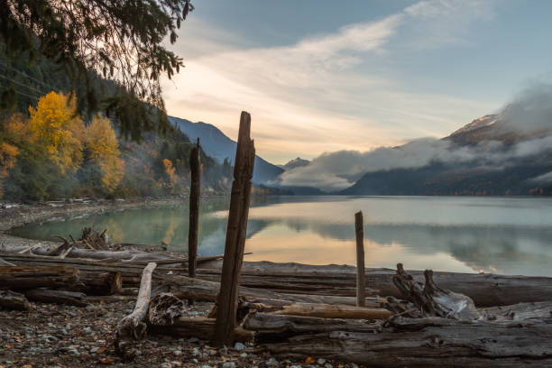 A rock beach lined with driftwood on a mountain lake.