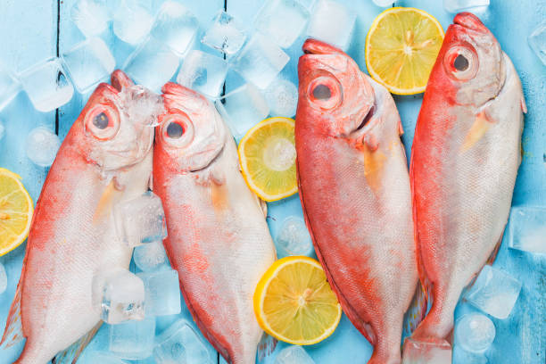 istock PriacanthusPriacanthus placed on top of ice 1167799106