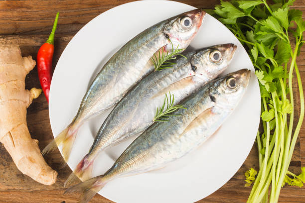 fish mackerelraw mackerel with and spices - jack fruit imagens e fotografias de stock