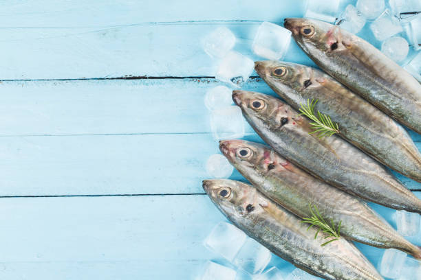 fish mackerelraw mackerel with and spices - iced fish imagens e fotografias de stock