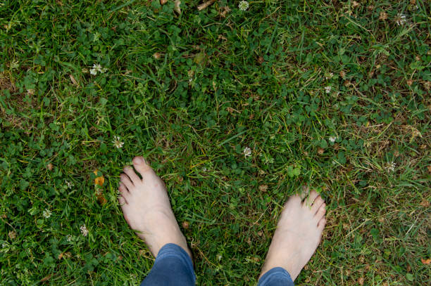 istock Female feet on the grass 1167800223