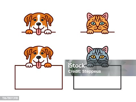 istock Cat & dog 1167801318